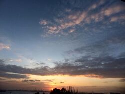 Blue Horizon (D5), Condominium #496367201